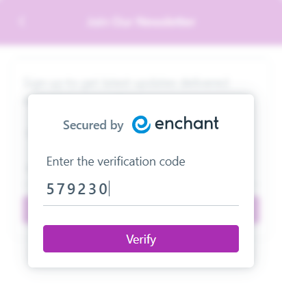 Double opt-in confirmation window